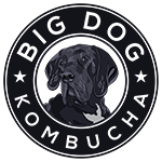 Big Dog Kombucha